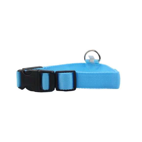 Small Blue Adjustable Glow-In-The-Dark Dog Collar - Picture 2 of 4